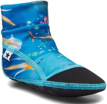 Zabi Shoes Summer Shoes Water Shoes Blue Molo