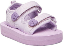 Zola Shoes Summer Shoes Sandals Purple Molo