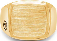 Men's Gold Signet Ring With Brushed Steel Ring Smykker Gold Nialaya