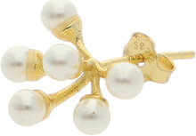 Ida Ear Stud Accessories Jewellery Earrings Single Earring Gold Nuni Copenhagen