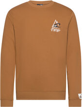 Torrey Crew Sport Sweat-shirts & Hoodies Sweat-shirts Brown O'neill