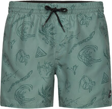 Mix & Match Cali Print 15'' Swim Shorts Badshorts Green O'neill