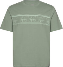 Mix & Match Floral Graphic T-Shirt Tops T-shirts Short-sleeved Green O'neill