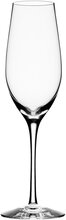 Merlot Champagne Glass 33Cl Home Tableware Glass Champagne Glass Nude Orrefors