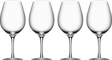 More Wine Xl 4-Pack Home Tableware Glass Wine Glass Red Wine Glasses Nude Orrefors