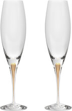 Intermezzo Champagne Glass Gold 2-Pack Home Tableware Glass Champagne Glass Nude Orrefors