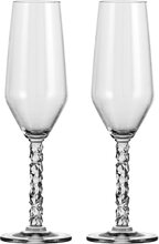 Carat Champagne Flute 24Cl 2-Pack Home Tableware Glass Champagne Glass Nude Orrefors
