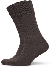 Pe 2Pk Calle Premium Mercerized Wool Rib Underwear Socks Regular Socks Brown Panos Emporio