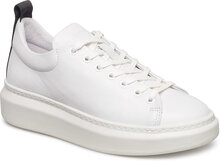 Dee Låga Sneakers White Pavement