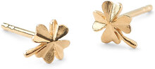 Clover Earsticks 6 Mm Accessories Jewellery Earrings Studs Gull Pernille Corydon*Betinget Tilbud