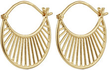 Daylight Earring 22 Mm Örhänge Smycken Gold Pernille Corydon