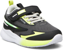 Pnf 39675 Shoes Sports Shoes Running/training Shoes Multi/mønstret Primigi*Betinget Tilbud