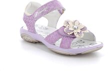 Pbr 58855 Shoes Summer Shoes Sandals Purple Primigi
