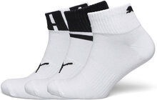 Puma Unisex Big Logo Quarter 3P Sport Socks Footies-ankle Socks White PUMA