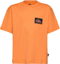 Back Flash Ss Youth Tops T-Kortærmet Skjorte Orange Quiksilver