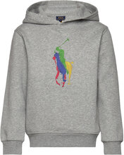 Big Pony Fleece Hoodie Tops Sweatshirts & Hoodies Hoodies Grey Ralph Lauren Kids