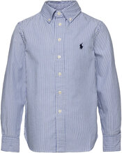 Slim Striped Oxford Shirt Tops Shirts Long-sleeved Shirts Blue Ralph Lauren Kids