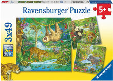 In The Jungle 3X49P Toys Puzzles And Games Puzzles Classic Puzzles Multi/patterned Ravensburger