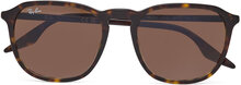0Rb2203 55 902/51 Designers Sunglasses D-frame- Wayfarer Sunglasses Brown Ray-Ban