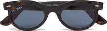 Wayfarer Oval Designers Sunglasses Round Frame Sunglasses Black Ray-Ban