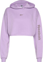 Modern Safari Coverup Sport Sweatshirts & Hoodies Hoodies Purple Reebok Performance