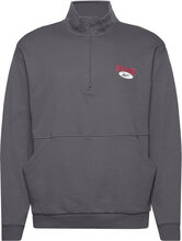 Cl Ae 1/4 Zip Sport Sweatshirts & Hoodies Sweatshirts Grey Reebok Classics