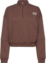 Cl Ae Coverup Sport Sweatshirts & Hoodies Sweatshirts Brown Reebok Classics