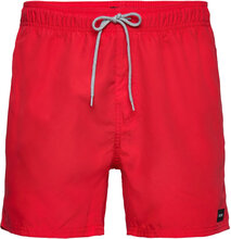 Offset Volley Badshorts Red Rip Curl