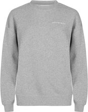 Iconic Sweatshirt Sport Sweatshirts & Hoodies Sweatshirts Grey Röhnisch