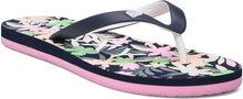 Rg Tahiti Vii Shoes Summer Shoes Navy Roxy