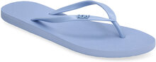 Viva Iv Shoes Summer Shoes Sandals Flip Flops Blue Roxy