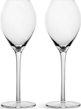 Saga Champagne Glass, 2-Pack Home Tableware Glass Champagne Glass Nude Sagaform