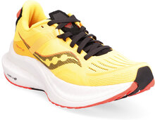 Tempus Shoes Sport Shoes Running Shoes Multi/mønstret Saucony*Betinget Tilbud