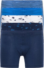Shorts Night & Underwear Underwear Underpants Multi/patterned Schiesser