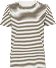 Slfmy Perfect Ss Tee Box Cut-Stri B Noos T-shirts & Tops Short-sleeved Kakigrønn Selected Femme*Betinget Tilbud