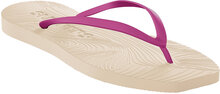 Tapered Burgundy Flip Flop Shoes Summer Shoes Sandals Flip Flops Beige SLEEPERS