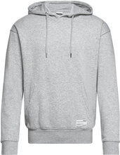 Sdlenz Hood Sw Tops Sweatshirts & Hoodies Hoodies Grey Solid