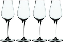 Authentis Digestive 17 Cl 4-P Home Tableware Glass Shot Glass Nude Spiegelau