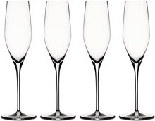 Authentis Champagneglas 19 Cl 4-P Home Tableware Glass Champagne Glass Nude Spiegelau