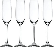 Salute Champagne Glas 21 Cl 4-P Home Tableware Glass Champagne Glass Nude Spiegelau*Betinget Tilbud