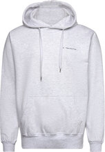 Heavyweight Organic Logo Hoodie - Ash Tops Sweatshirts & Hoodies Hoodies Grey S.T. VALENTIN