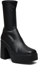 Low Phoenix Bootie Shoes Boots Ankle Boots Ankle Boots With Heel Black Steve Madden