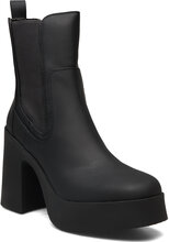Climate Bootie Shoes Boots Ankle Boots Ankle Boots With Heel Black Steve Madden