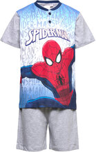 Pyjashort In Box Pyjamas Sett Grå Spider-man*Betinget Tilbud