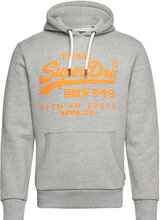 Neon Vl Hoodie Tops Sweatshirts & Hoodies Hoodies Grey Superdry