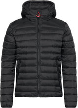 Hooded Fuji Sport Padded Jkt Fodrad Jacka Black Superdry