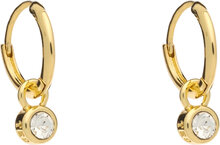 Sinalaa Accessories Jewellery Earrings Hoops Gold Ted Baker