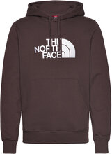 M Drew Peak Plv Hd Sport Sweatshirts & Hoodies Hoodies Brown The North Face