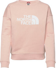 W Drew Peak Crew - Eu Sweat-shirt Genser Rosa The North Face*Betinget Tilbud