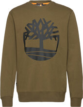Core Logo Crew Bb Designers Sweatshirts & Hoodies Sweatshirts Khaki Green Timberland